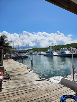 Your next adventure starts here! Discover a lively marina filled with beautiful vessels, ready for a day on the water.