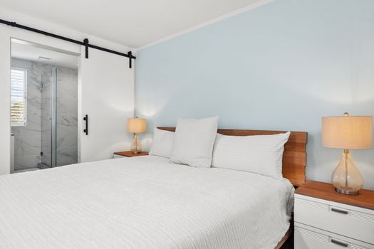 Relaxing bedroom with a modern barn door leading to a luxurious shower