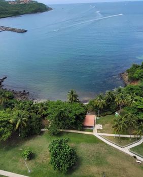 Nature's Embrace: Discover serene landscapes and the calming presence of abundant tropical plants.