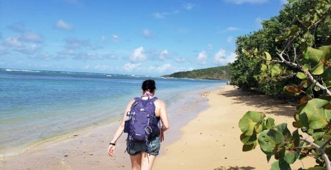 Your perfect escape awaits! Discover a serene coastline where calm waters stretch to the horizon, inviting relaxation and natural beauty.