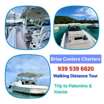 Your next adventure starts here! Discover a lively marina filled with beautiful vessels, ready for a day on the water.