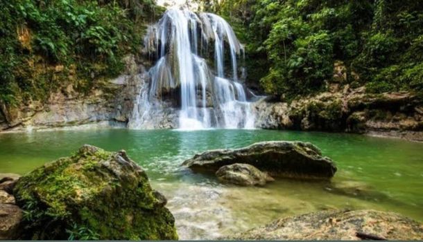 Discover a hidden gem! Cool off in a pristine natural swimming hole, enveloped by the beauty of a vibrant, verdant jungle.