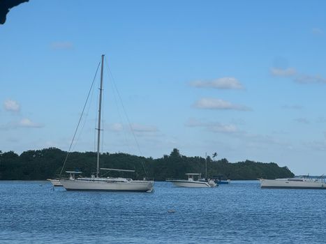 Scenic Seascape: Gaze upon the tranquil waters dotted with sailboats, offering a picturesque view that epitomizes coastal living.
