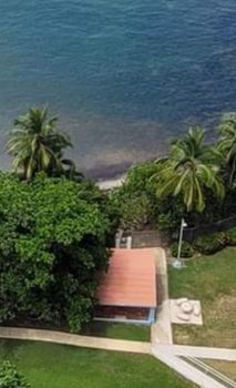 Tropical Paradise Awaits: Immerse yourself in the vibrant beauty of lush greenery and exotic foliage surrounding your escape.