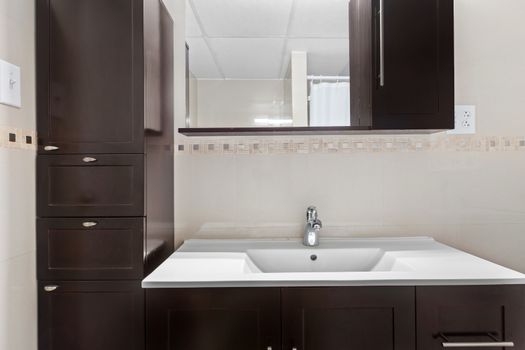 Bathroom vanity with white sink, modern faucet, dark wood cabinets, mirror, and tiled backsplash.