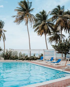 “Perfect unit. A couple of blocks away from so many restaurants and cafes. The beach and pool access were ideal. The hosts were incredibly helpful and responsive. I traveled with my two kids and we had a great time.”
-Yadira