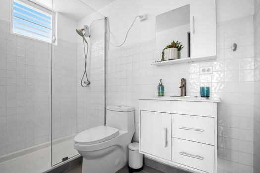 Step into a modern bathroom with a spacious walk-in shower and a well-lit vanity – designed for comfort and convenience.