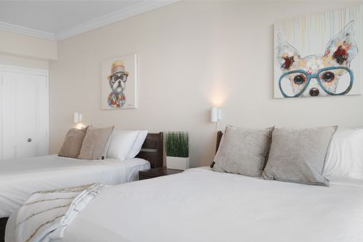Wake up to inspiring ocean views! This room features comfortable beds and a playful, inviting atmosphere.