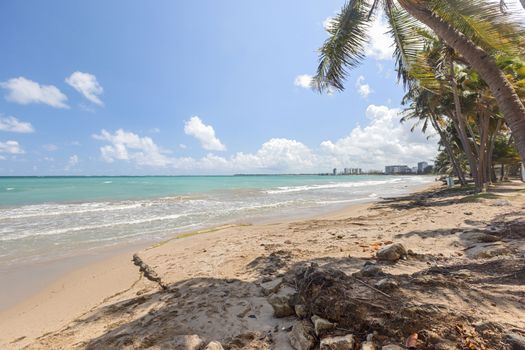 Get mesmerized by this beautiful beach