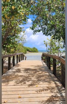Your secluded escape awaits. Step onto this peaceful boardwalk, framed by natural beauty, leading to tranquil coastal views.