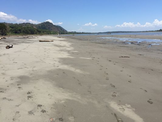 Playa Tortuga is about 5-7 minutes away.