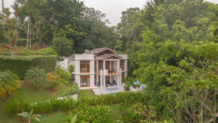 Casa Lisa is surrounded by the Costa Rica jungle. Wildlife is seen and heard daily.