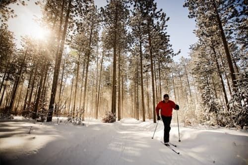 Cross-country skiing