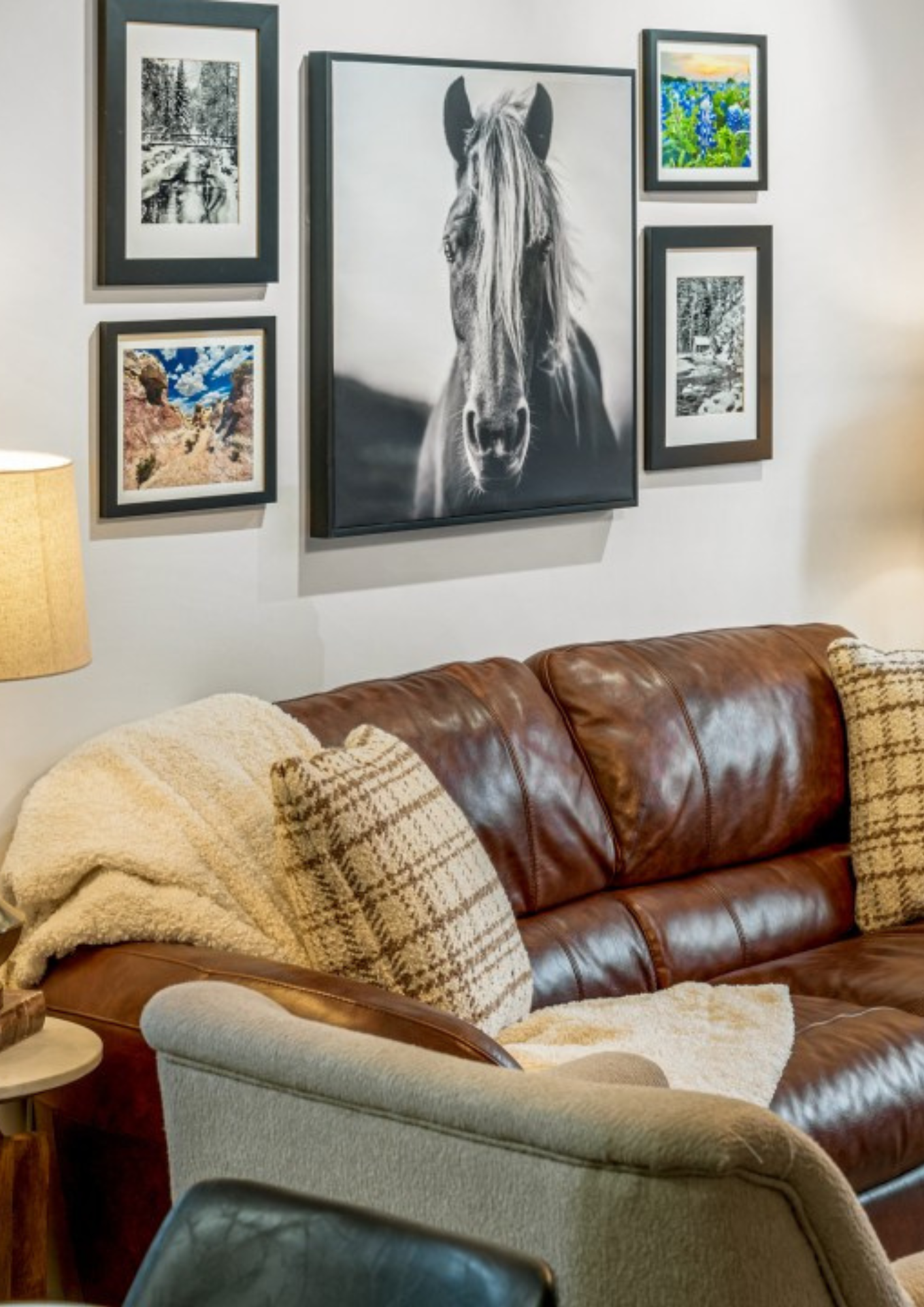 Bailey co cabin vacation rental