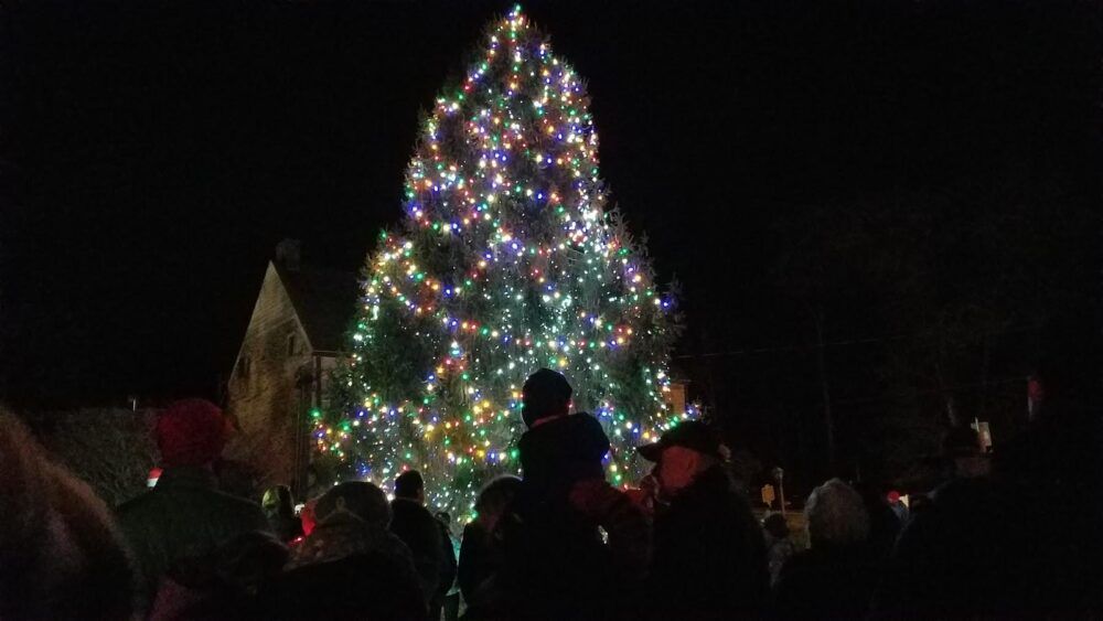 High Falls Holiday Tree (Seasonal) Image