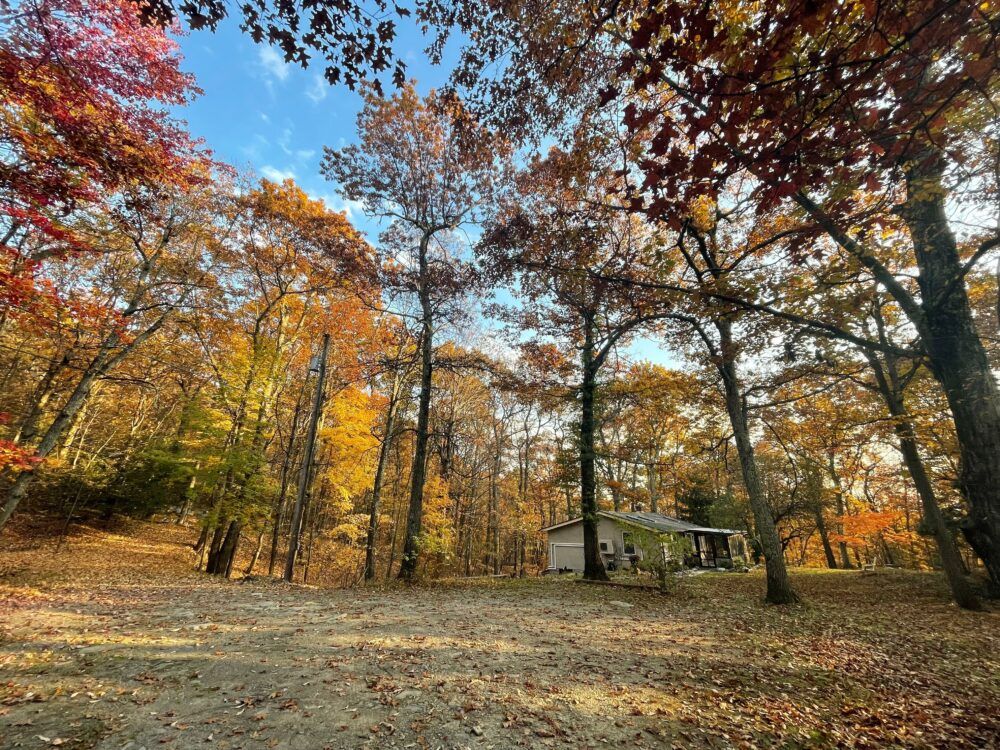 Owl's Nest: A Nature Lover's Getaway Main Image