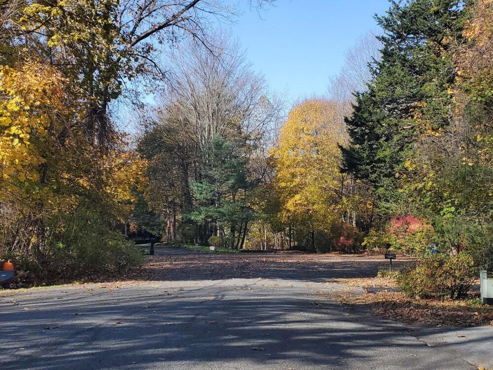 Hurley Marbletown Trailhead Image