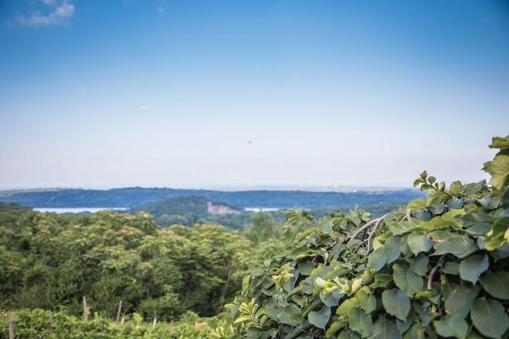 Benmarl Winery Image