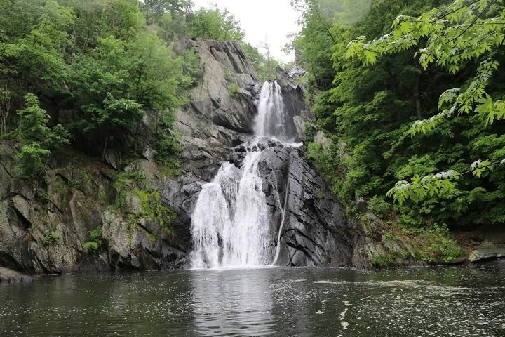 High Falls Conservation Area Image
