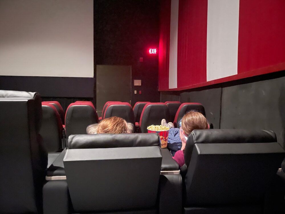 New Paltz Cinemas Image