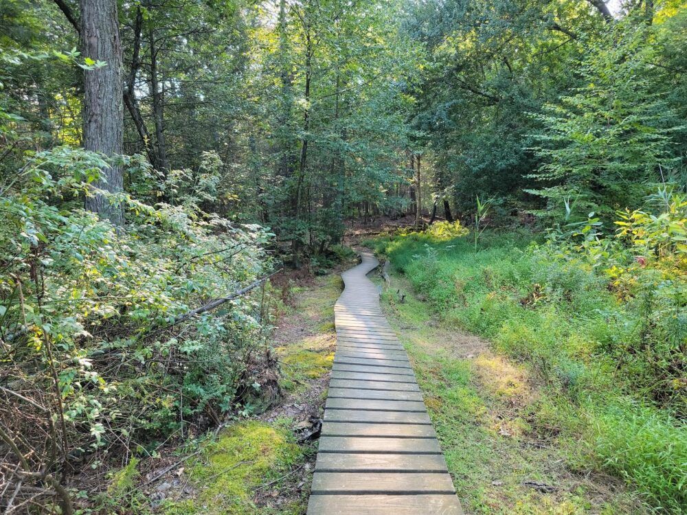 Shaupeneak Ridge Park Image