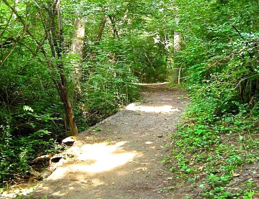 Dutch Heritage Farming Trail Image