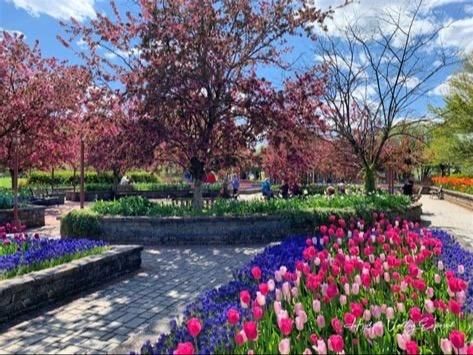 Orange County Arboretum Image