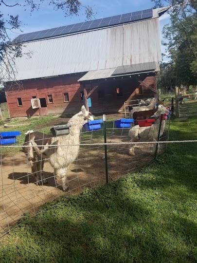 Clover Brook Farm Image