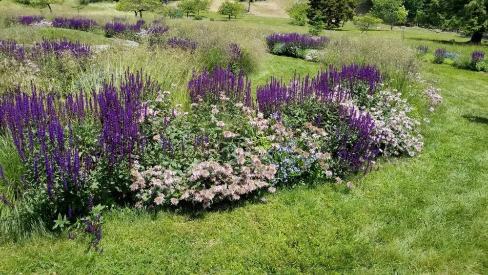 Mountain Top Arboretum Image