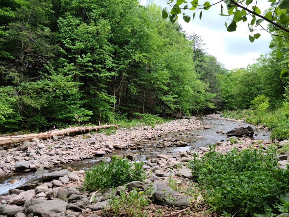 Woodland Valley Campground Image