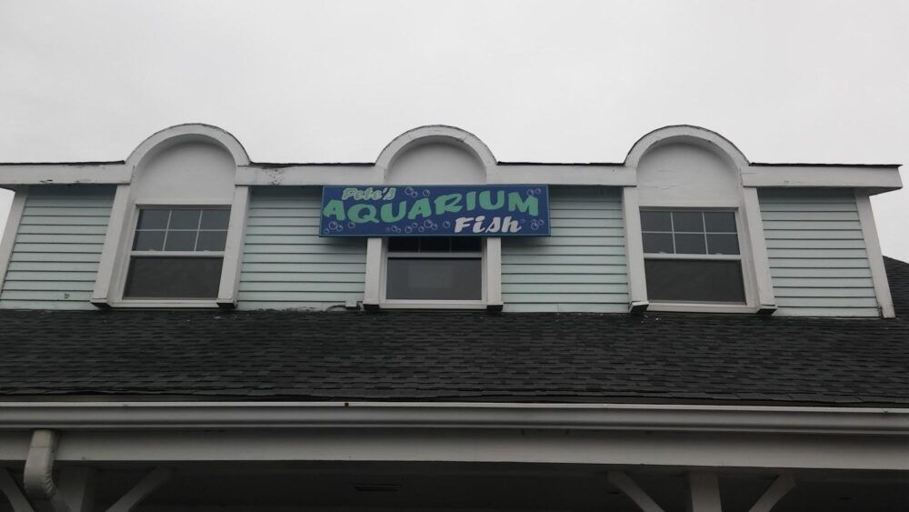 Pete's Aquariums & Fish Image