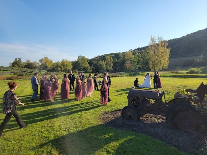 Nostrano Vineyards Image