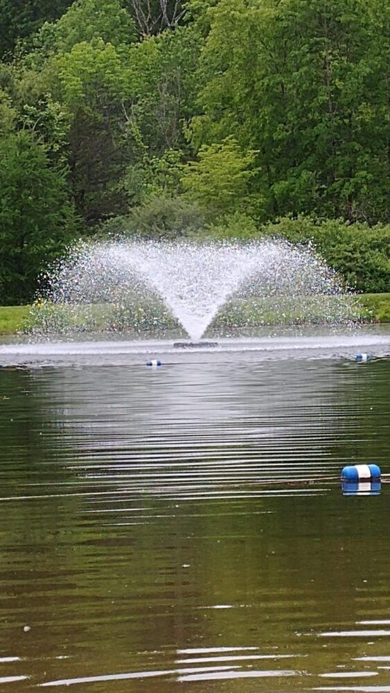 Frances J. Mark Memorial Park Image