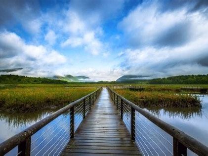 Constitution Marsh Image