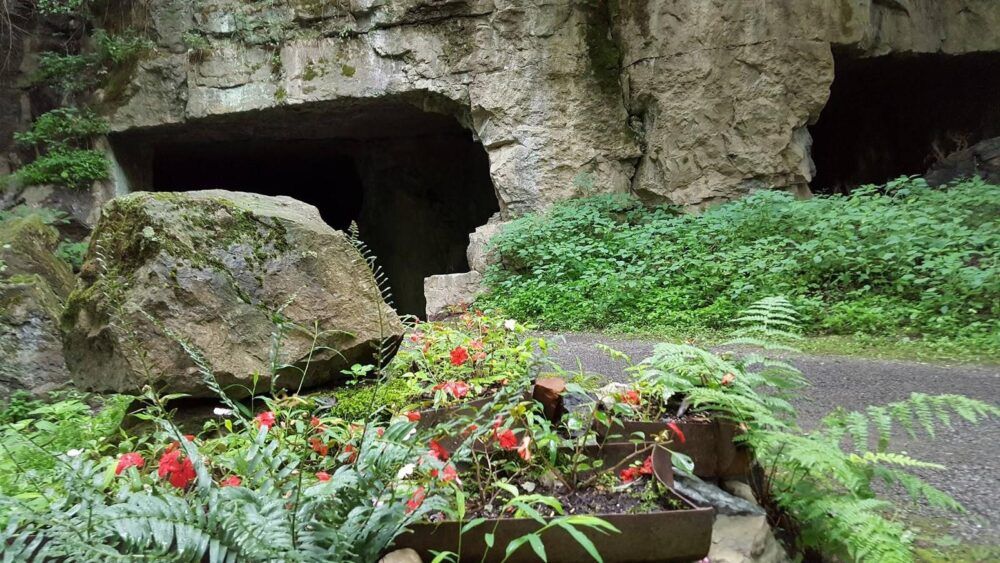 Century House Historical Society & Snyder Estate Image