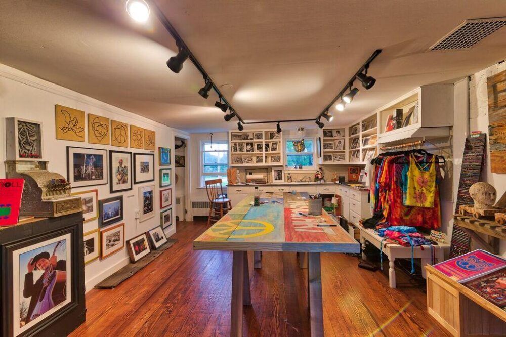 Stray Cat Gallery Image