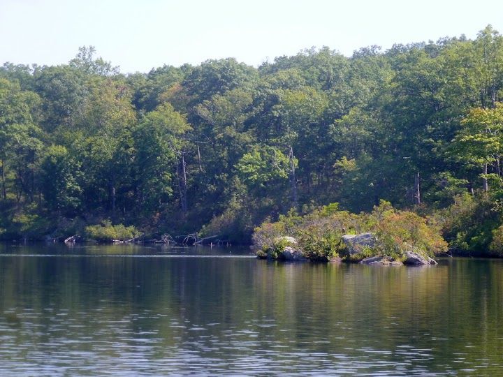 Canopus Lake via Appalachian Trail Image