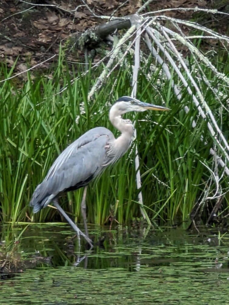 O&W Rail Trail Image