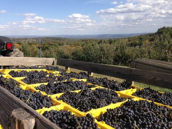 Glorie Farm Winery Image