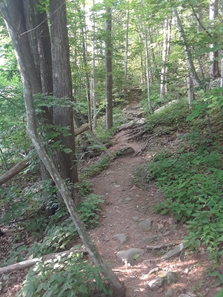 Tremper Mountain Trailhead Parking Image