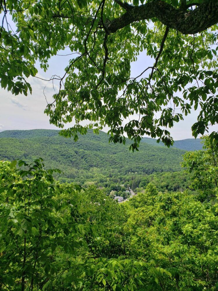 Tanbark Loop Trailhead Image