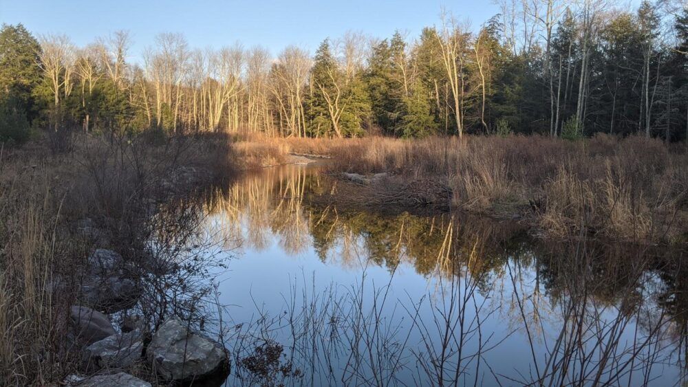 Colgate Lake Wild Forest Image