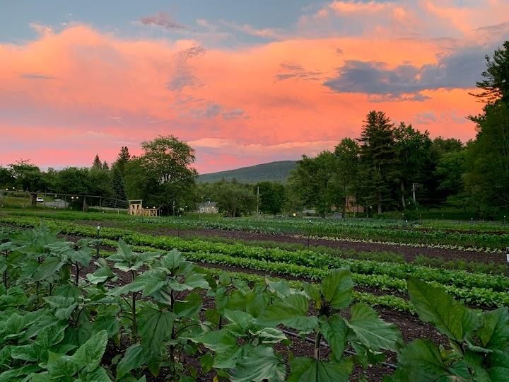 Fromer Market Gardens Image