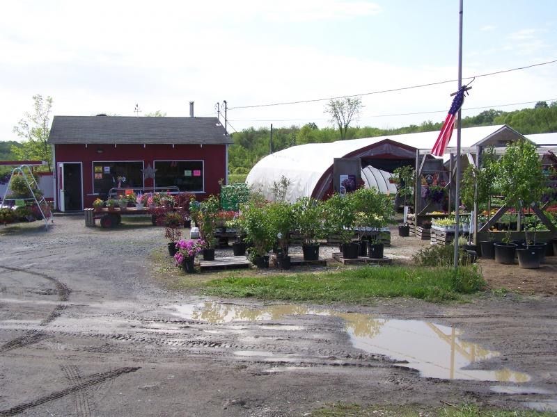 Sleepy Hills Orchard Image