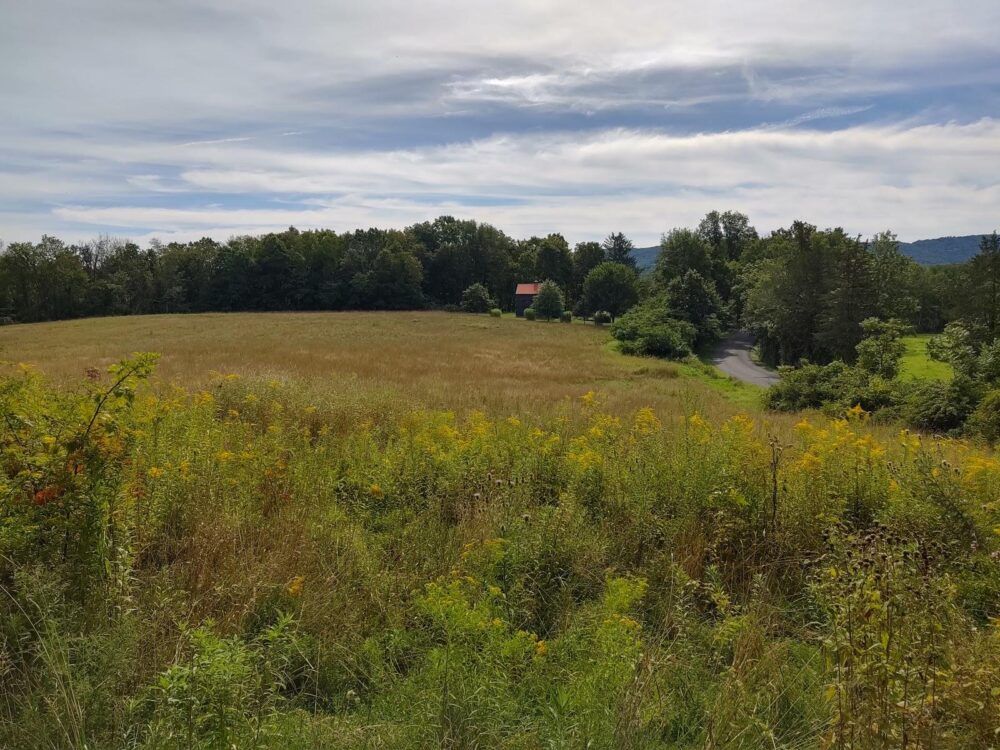 Rest Plaus O&W Rail Trail Image