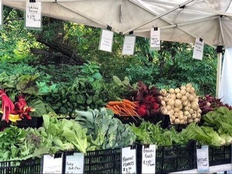 Cold Spring Farmer’s Market Image