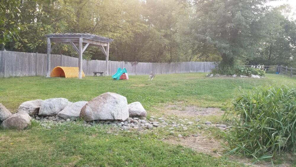 Gardiner Dog Park Image