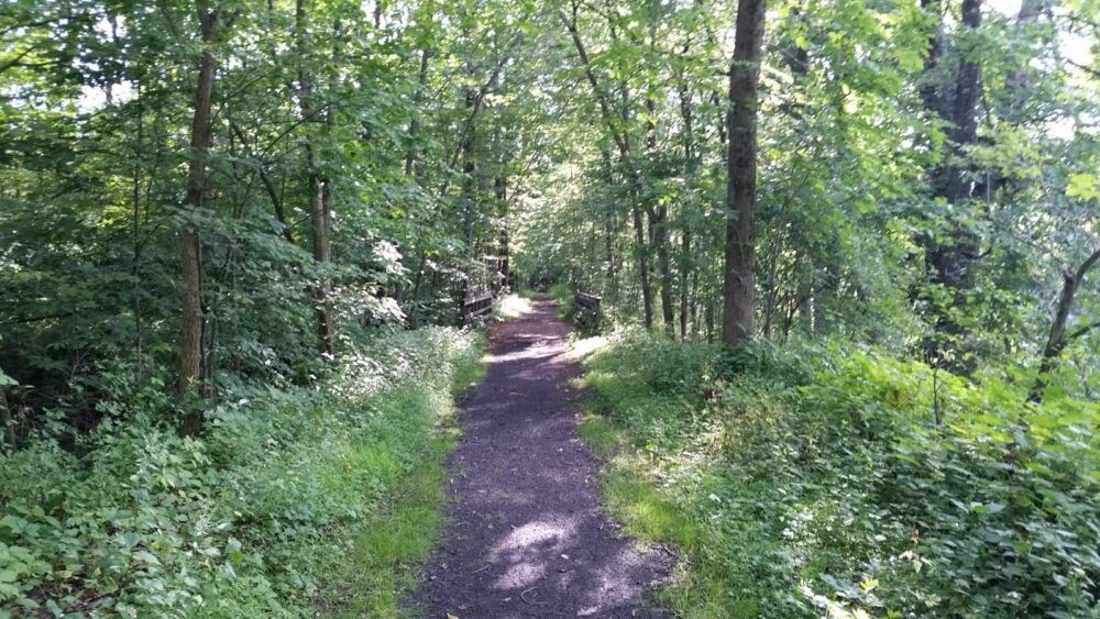 Rail Trail Kerhonkson Image