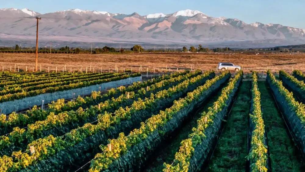 Wine Country TPGT Main Image