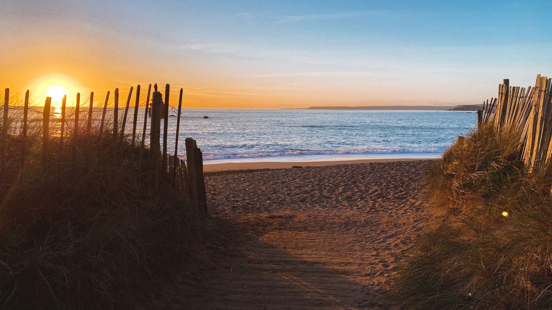 Adobe express file 3